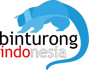 Binturong | Indonesia